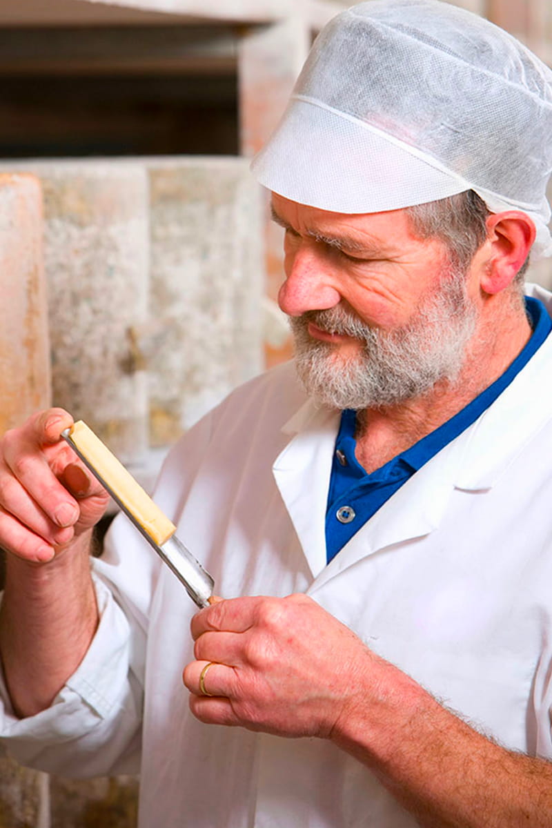 Tecnico caseario che controlla la qualità del formaggio con uno strumento di campionatura