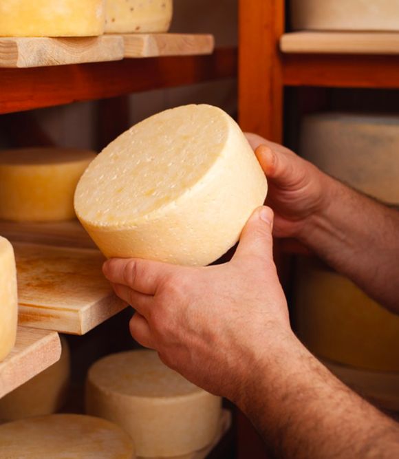 Casaro che controlla una forma di formaggio in stagionatura